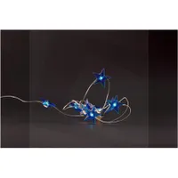 Entac ECL-BS-10WW karácsonyi fényfüzér kék csillag 10 led 1 m #1
