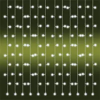Home by Somogyi KAF 210LC Led-es fényfüggöny 210 led hidegfehér 2 m beltéri és kültéri adapteres műanyag kofferben #2