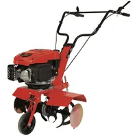 Einhell GC-MT 2560 LD benzines kapálógép 150 cm3 2500 W 60 cm 26 cm 6 pengék #1