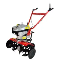 Agrimotor ROTALUX 52A B55 Kapálógép 163 cc 3 kW 4/6 kapatagok 550/800 mm 220 mm tolókar állítható #1