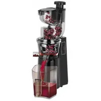 MPM MSO-16 lassú gyümölcsprés 60 rpm rozsdamentes test 1000 ml gyümölcslé gyűjtő 800 ml hulladék 2x rozsdamentes szűrő tisztító kefe #2