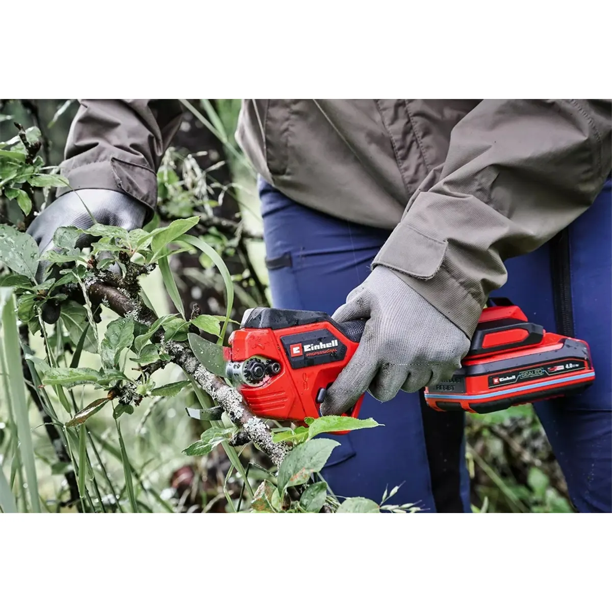 Einhell GP-LS 18/28 LI BL - SOLO Akkumulátoros ágvágó olló 18 V szénkefe nélküli motor 28 mm vágási kapacitás akku és töltő nélkül #8