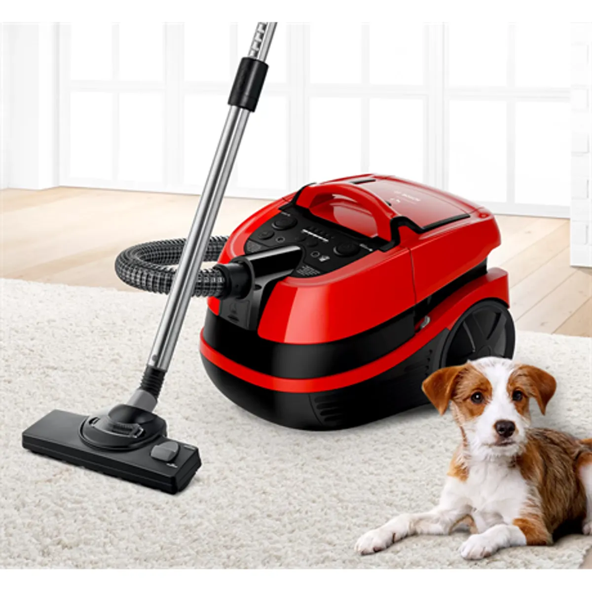 Bosch BWD421PET takarítógép 2100 W HEPA H13 nedves-száraz 12 m hatótáv 5 l ProAnimal AirFresh porzsákos #6